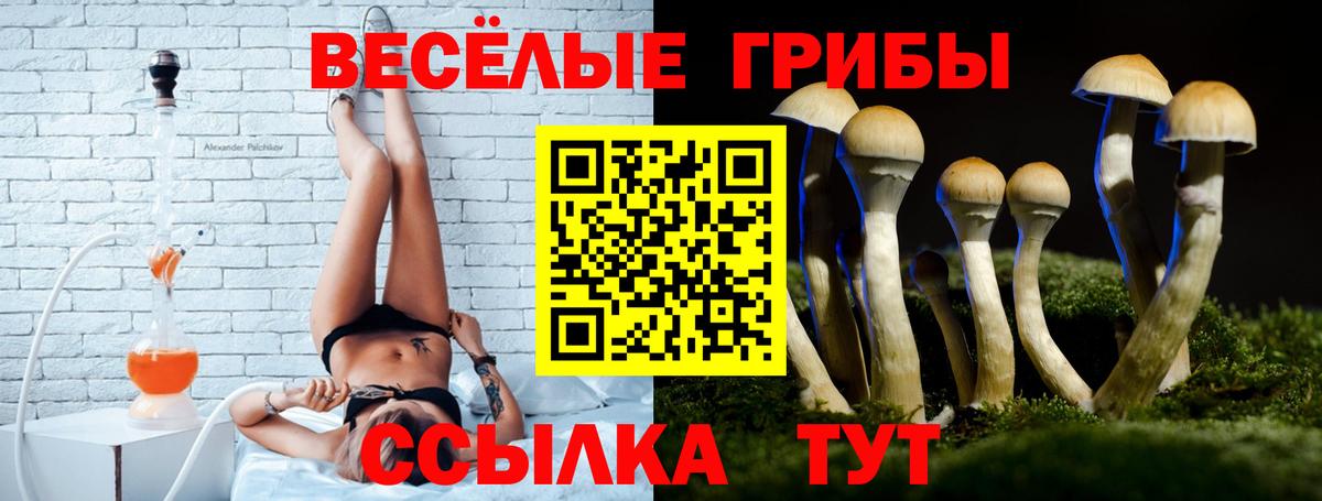 Галлюциногенные грибы Cubensis Оренбург