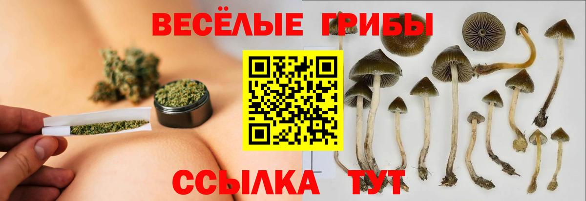 Псилоцибиновые грибы мухоморы  Вход с VPN  Оренбург  Галлюциногенные грибы мухоморы 
